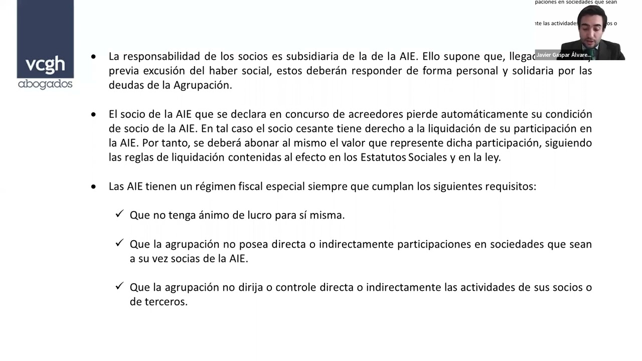 Agrupación de Interés Económico: Claves para su constitución y beneficios fiscales