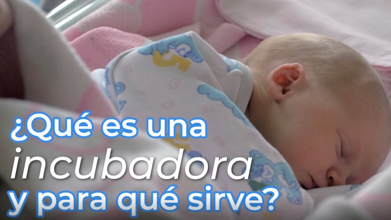 Qué es una incubadora y cómo puede beneficiar a tu emprendimiento